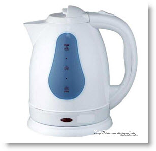 Star Fish Electric Kettle
