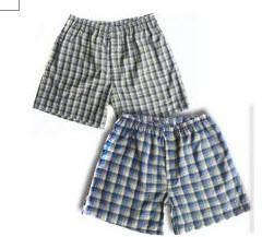 boxer
