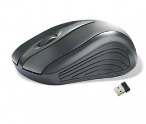 mouse