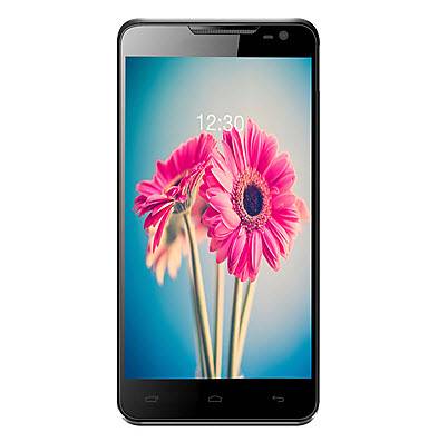 iris