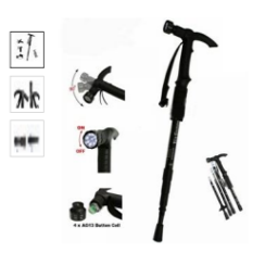 walking Stick