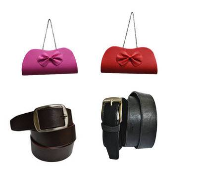 skybag