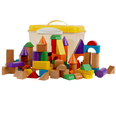 Tidlo 100 Wooden Blocks