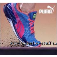 puma12