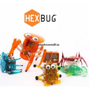 hexbug