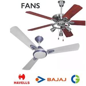 fans