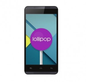 lolli