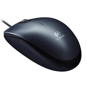 mouse