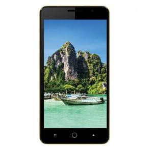 intex11