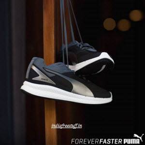 puma