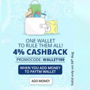 wallet100