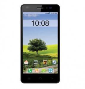 intex