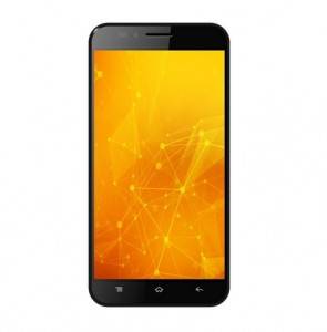 intex