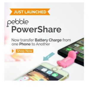 pebble