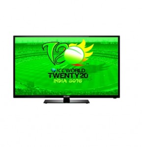 t20
