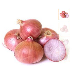 onion