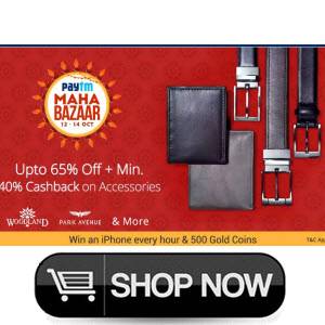 wallet-belts